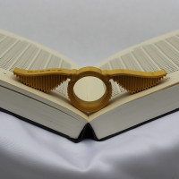 Leesring GOUDEN SNAAI