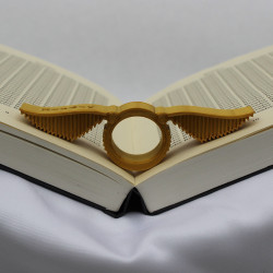 Leesring GOUDEN SNAAI